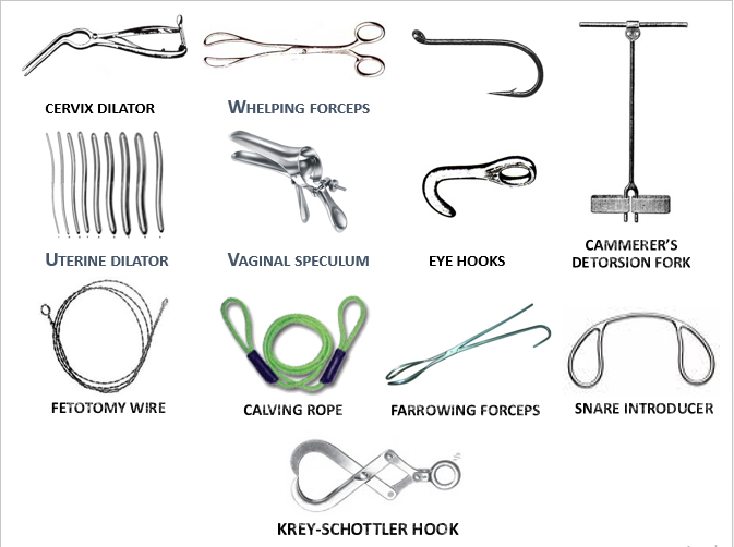 Obstetrical Instruments and their use in veterinary obstetrics