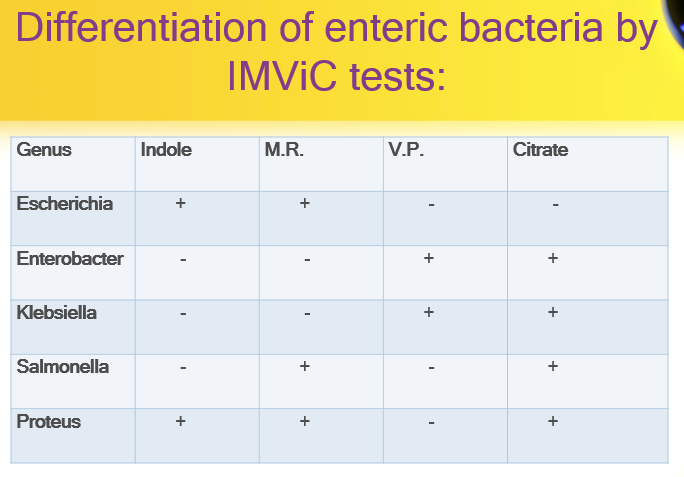 Biochemical tests for identification of bacteria