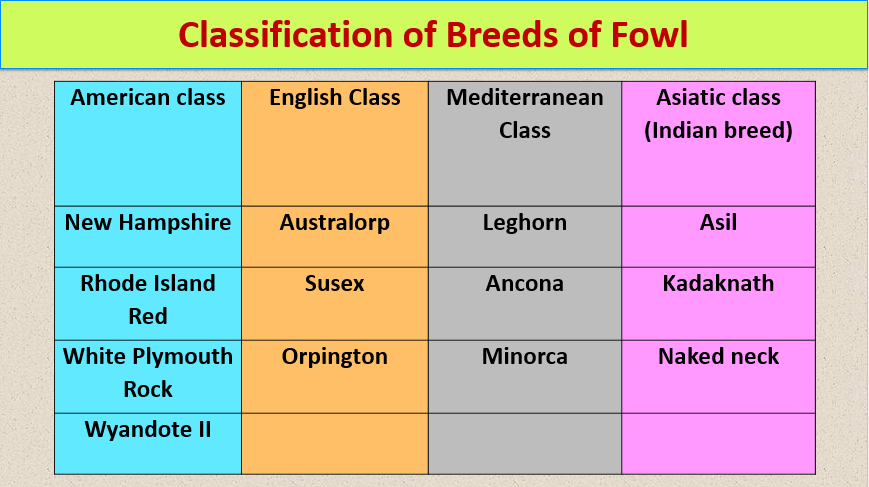 How to breed of Fowl became classified according to their native