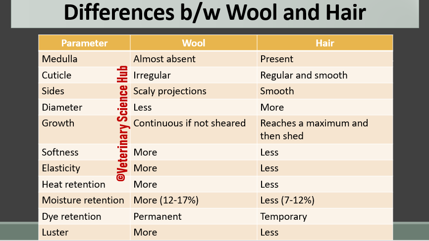 How can we make differences between Wool and Hair?