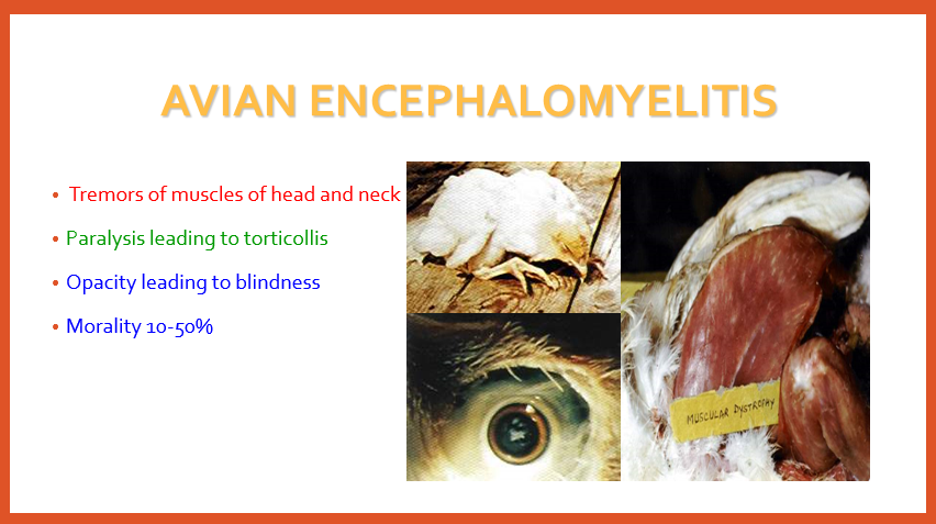 Avian encephalomyelitis