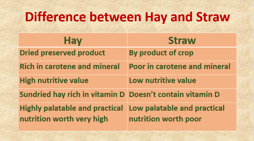 What are the differentiation points between Hay and Straw?