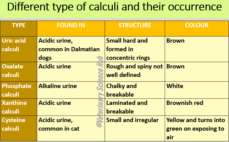 Different types of calculi and their occurrence