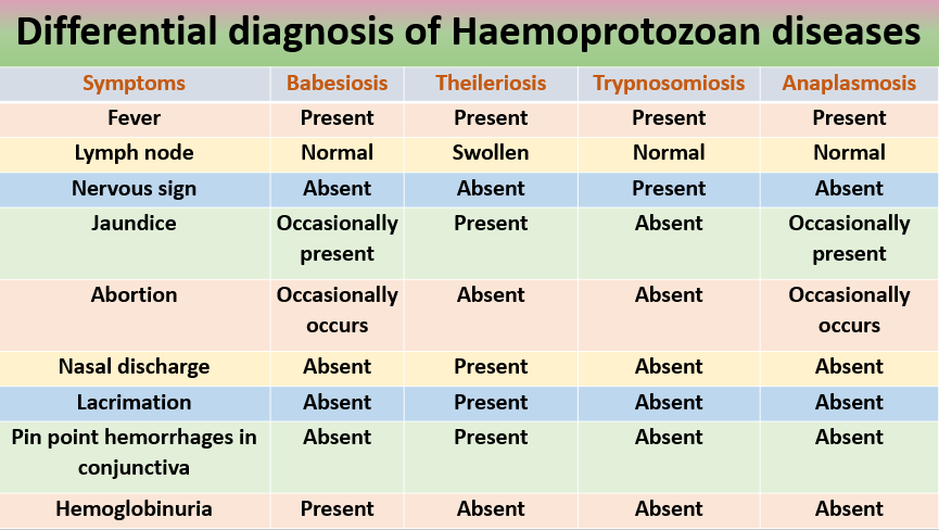 Differential diagnosis of Haemoprotozoan diseases on the basis of symptoms